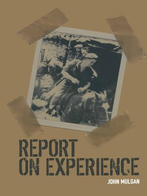 cover image of Report on Experience